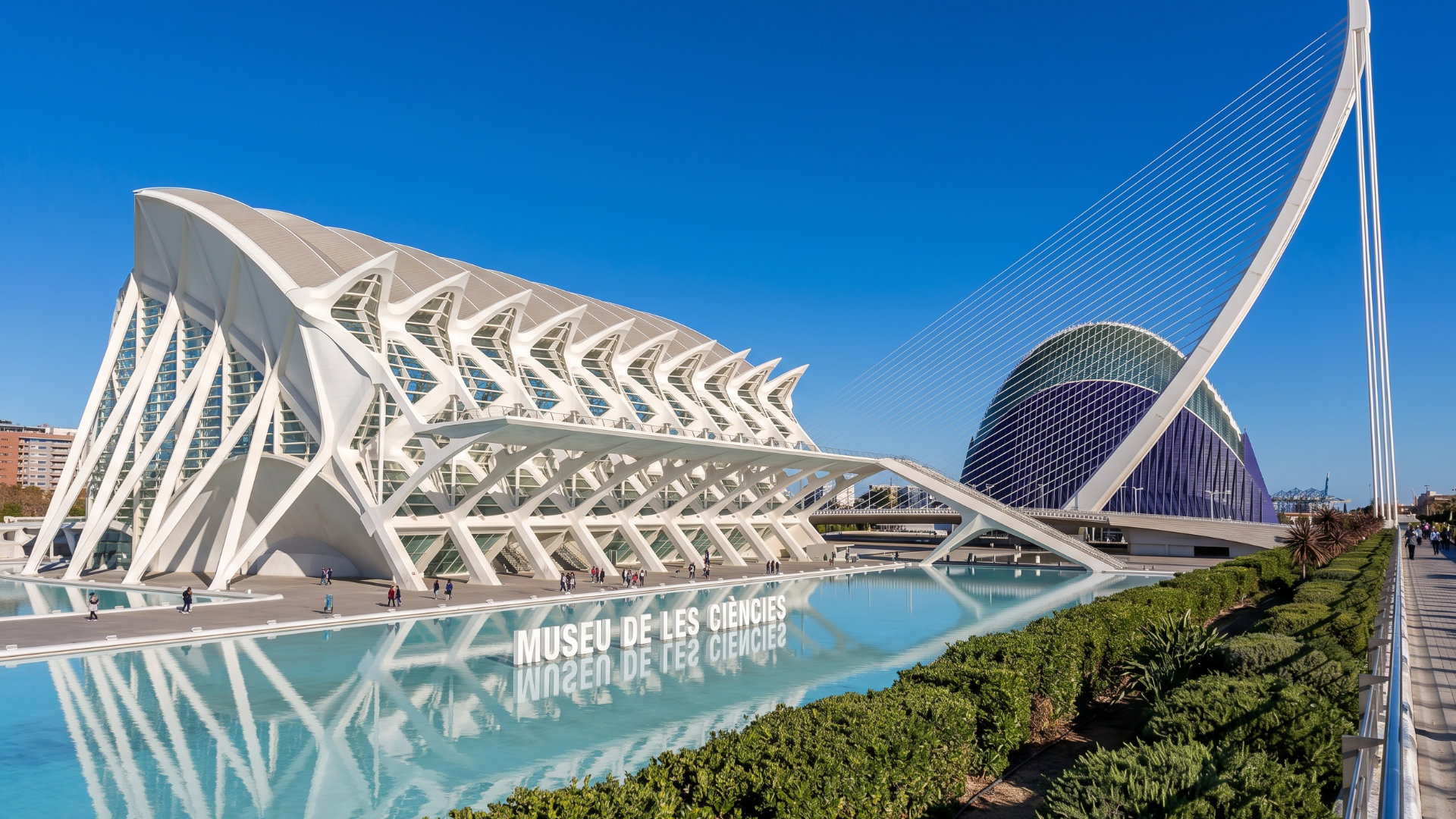 Museo de las Ciencias