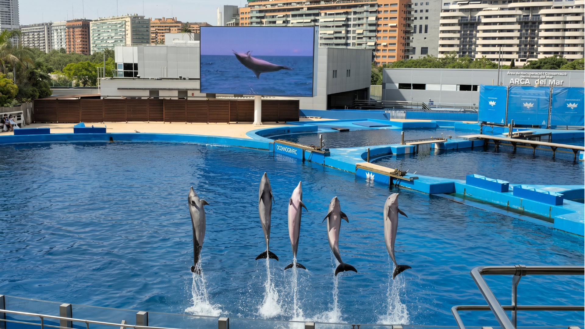 Oceanogràfic